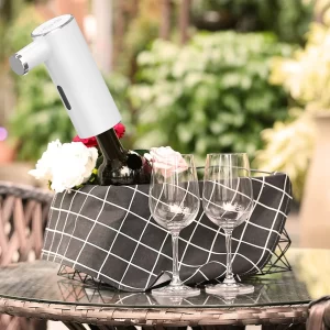 Décanteur vin 2